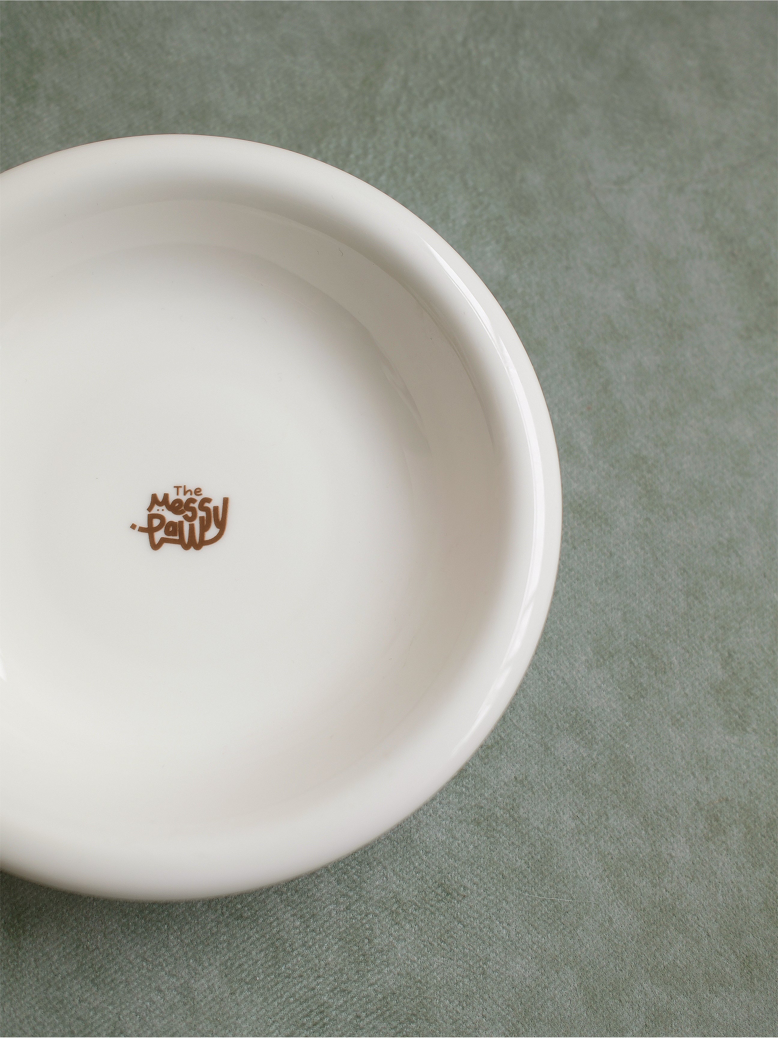 HALO Handmade Shallow Ceramic Pet Bowl - Blanc